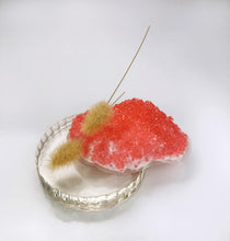 Load image into Gallery viewer, Meg Howton, "Glass Act (Among the Peas)”, #10