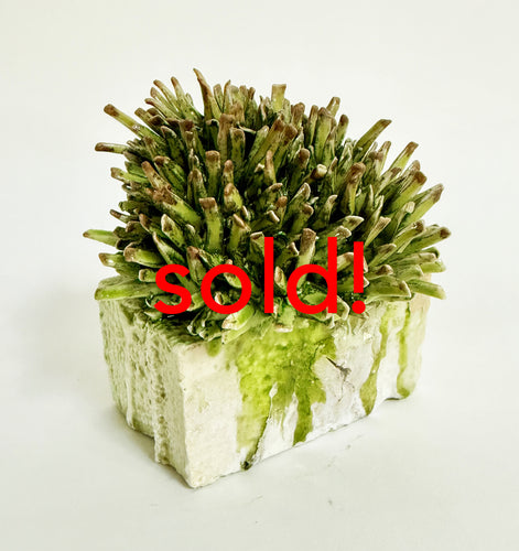 Susan Beiner, 