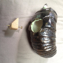 Load image into Gallery viewer, Wesley Wright, &quot;Bug Phone (Green)&quot;